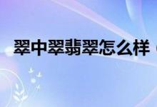 翠中翠翡翠怎么样（翠中翠翡翠评价如何）