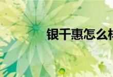 银千惠怎么样（银千惠评价）