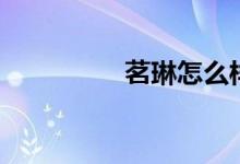 茗琳怎么样（茗琳评价）