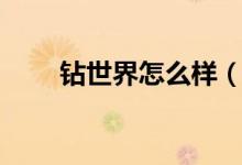 钻世界怎么样（钻世界官方旗舰店）