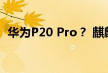华为P20 Pro？ 麒麟970搭载Android 8.1