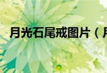 月光石尾戒图片（月光石尾戒图片及价格）