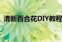 清新百合花DIY教程（美丽百合花DIY图解）
