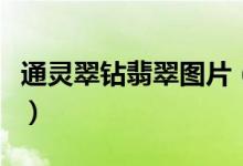 通灵翠钻翡翠图片（通灵翠钻翡翠图片及价格）