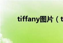 tiffany图片（tiffany图片及价格）