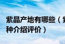 紫晶产地有哪些（紫晶产地及其特征_价格_品种介绍评价）