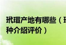 玳瑁产地有哪些（玳瑁产地及其特征_价格_品种介绍评价）