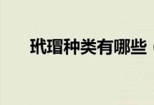 玳瑁种类有哪些（玳瑁种类图片大全）