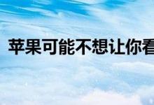 苹果可能不想让你看到这个AirTag调试菜单