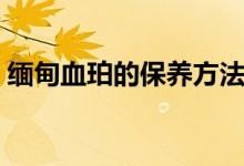 缅甸血珀的保养方法（缅甸血珀要怎么保养）