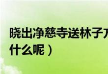 晓出净慈寺送林子方古诗意思（这首古诗含义什么呢）