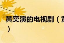 黄奕演的电视剧（黄奕主演的经典电视剧推荐）