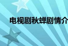 电视剧秋蝉剧情介绍（电视剧内容介绍）