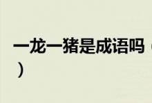 一龙一猪是成语吗（一龙一猪成语解释及出处）