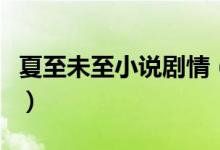 夏至未至小说剧情（夏至未至小说剧情是什么）