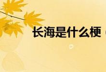 长海是什么梗（这个梗出自哪里）