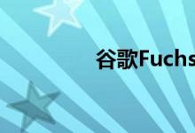 谷歌FuchsiaOS准备发布