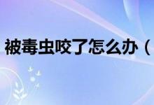 被毒虫咬了怎么办（五种毒虫治疗方法推荐）