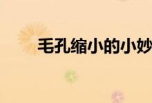 毛孔缩小的小妙招（如何缩小毛孔）