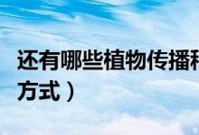 还有哪些植物传播种子的方法（植物种子传播方式）