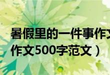 暑假里的一件事作文500字（暑假里的一件事作文500字范文）