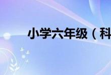 小学六年级（科学如何做教学计划）