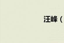 汪峰（存在歌词）