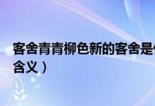 客舍青青柳色新的客舍是什么意思（客舍青青柳色新的客舍含义）