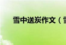 雪中送炭作文（雪中送炭作文怎么写）