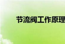 节流阀工作原理（工作原理是什么）