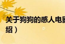 关于狗狗的感人电影（关于狗狗的感人电影介绍）