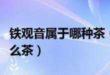 铁观音属于哪种茶（让我告诉你铁观音属于什么茶）