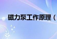 磁力泵工作原理（磁力泵工作原理分享）