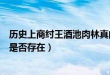 历史上商纣王酒池肉林真的存在吗（历史上商纣王酒池肉林是否存在）
