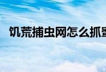 饥荒捕虫网怎么抓蜜蜂（饥荒怎么抓蜜蜂）