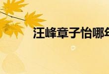 汪峰章子怡哪年结婚（你知道吗）