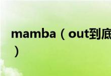 mamba（out到底什么意思 给大家介绍一下）