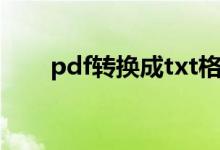 pdf转换成txt格式（pdf转换成txt）