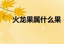 火龙果属什么果（火龙果的营养价值）