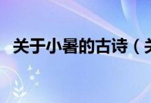 关于小暑的古诗（关于小暑的古诗有哪些）
