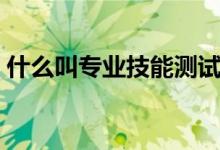什么叫专业技能测试（专业技能测试的含义）