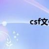 csf文件怎么打开（csf文件）