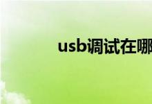 usb调试在哪（usb调试在哪）