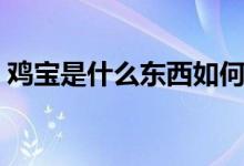 鸡宝是什么东西如何辨别（鸡宝是什么东西）