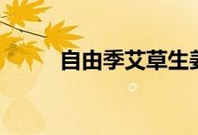 自由季艾草生姜洗发水（自由季）