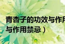 青杏子的功效与作用及食用方法（杏子的功效与作用禁忌）