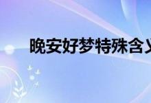 晚安好梦特殊含义（晚安的特殊含义）
