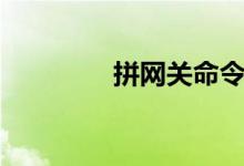 拼网关命令是什么（拼网）