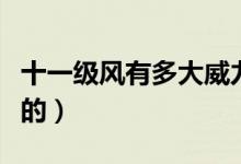 十一级风有多大威力（十一级风的威力是怎样的）