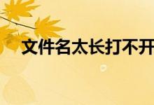 文件名太长打不开怎么办（文件名太长）